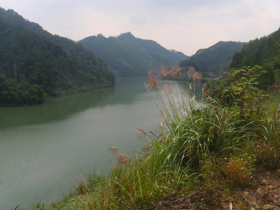 A view up a mountain river.